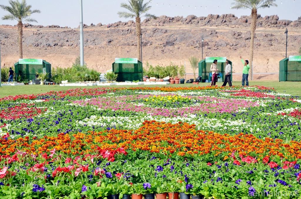 معرض الحدائق بحائل