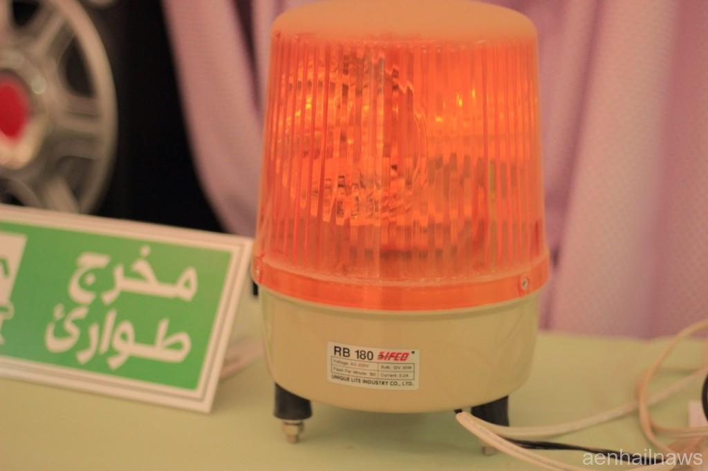 صورة%203
