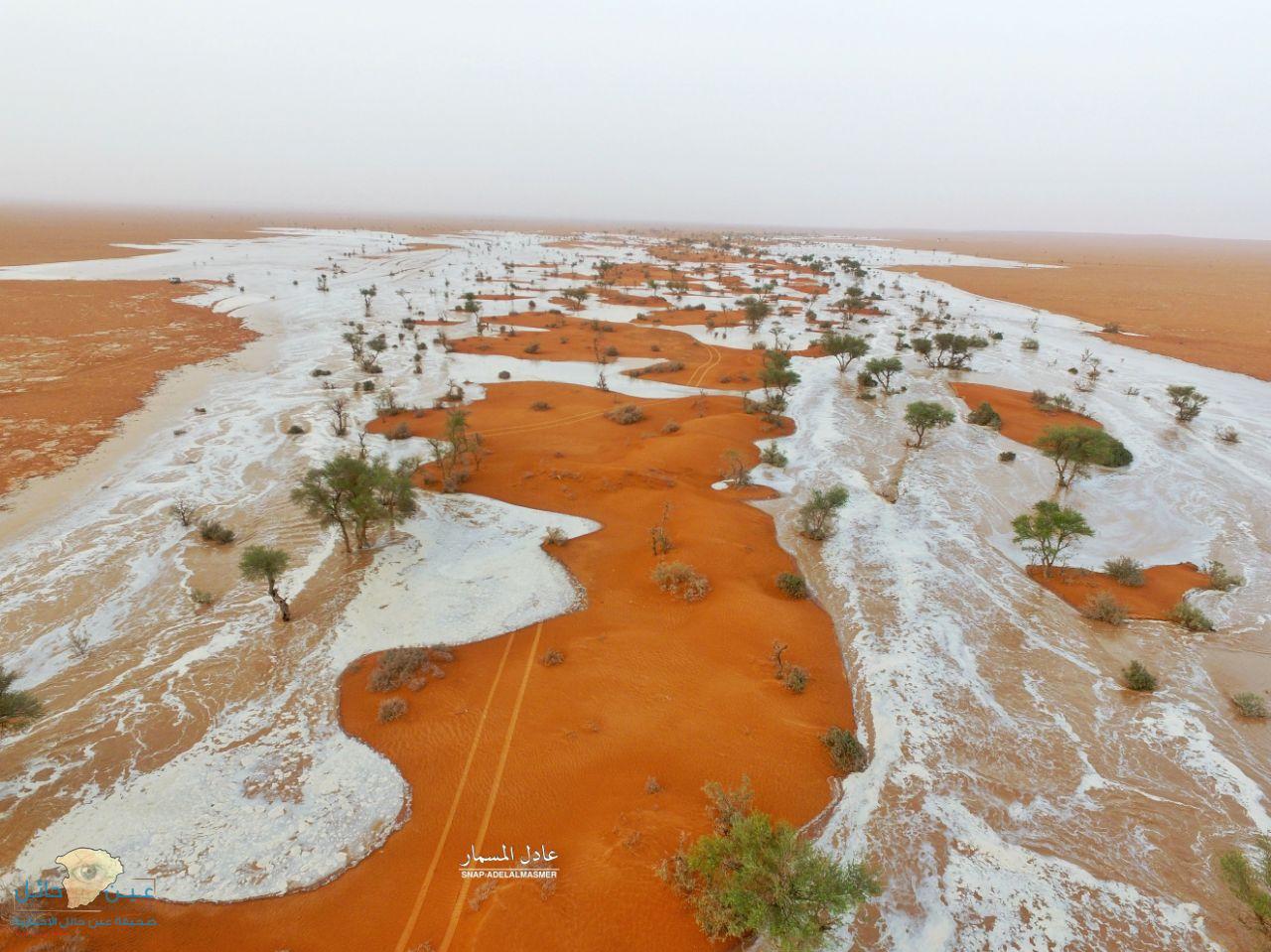جمال تصوير الأستاذ عادل لمسمار يجبر موقع العربية نت على نشر صوره صحيفة عين الحقيقة الاخبارية