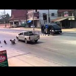 بالفيديو : مطاردة بين مواطنين و” شخص  ” سرق سيارة تاهو