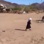 بالفيديو : عادل التويجري: نصف الشعب السعودي هلالي