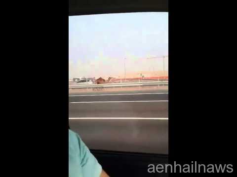 بالفيديو شخص يطارد بعير هارب على الطريق السريع