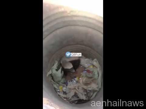 فيديو: ضرمبول يُشن هجومًا شرسًا على مواطن قام بتصويره