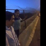 بالفيديو.. نجاة أسرة من طلقة طائشة سقطت من السماء واخترقت سقف مجلسهم