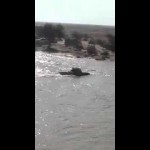 بالفيديو: رئيس زيمبابوي “في حالة غير طبيعية ” بالهند يثير موجة من السخرية