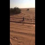 بالفيديو: معركة شرسة بعد محاولة لص سرقة جوال