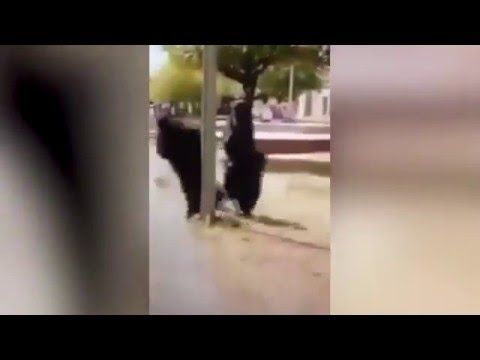 بالفيديو: امرأة ترتدي البرقع تصطدم بعمود إنارة وتسقط على الأرض