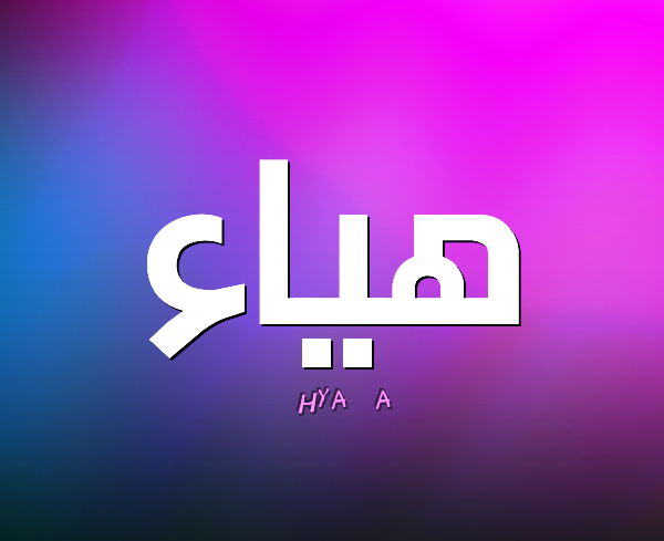 عام من الحزم و الحسم