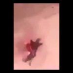 بالفيديو …  مشاجره بين عمر السومة و رجل أمن