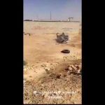 بالفيديو:شاب بثوب وشماغ يتسلق منزل طابقين في ثوان