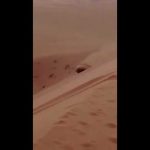 بالفيديو ….  مستأجرون يدمرون منتجع قبل تسليمه لصاحبه بعقده حائل