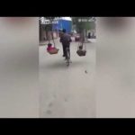 بالفيديو: صياد يُخرج سمكة قرش بالونش على سواحل البحر الأحمر