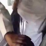 بالفيديو :شاب يعتدي على آخر بالعصا خلال مشاجرة في نهار رمضان