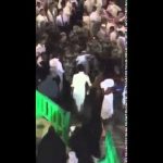 بالفيديو: مواطن يقتل ثعباناً طوله 3 أمتار