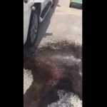مقطع مٌرعب لشاب احمق ينام تحت عجلات القطار.. وثانية واحدة فصلته عن الموت سحقاً