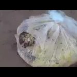 بالفيديو: رد صادم لداعية مصري حول علاقة غرامية بين رجل وصديقة زوجته