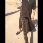 بالفيديو … رقص وشيلات بأحد المساجد