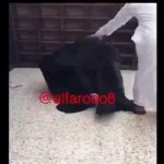 بالفيديو: متعب بن عبدالله يرفض تفقد قوات الحرس المشاركة في الحج بالسيارة ويصر على المشي اليهم