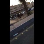 بالفيديو.. مواطن يوثق لحظة سرقة سيارته من أمام منزله