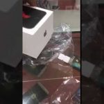 بالفيديو: قصة وفاء نادرة.. فيل ينقذ صاحبه من الغرق