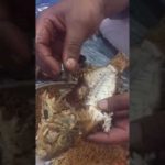كاميرا موجودة في مؤخرة سيارة ترصد سائق شاحنة مشغول بالجوال.. فشاهد ماذا حدث!