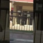 بالفيديو : لحظة العفو عن قاتل في ساحة القصاص..شاهد ردة فعله المفاجئة