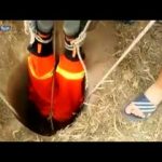بعد واقعة التفال على “الخبز”.. “خباز” يدخن “سجائر” ومطالبات بمحاكمته