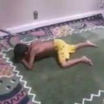 شاهد.. قرد ينقذ غزالًا من بين فكي النمر