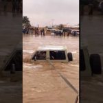 بالفيديو : الدفاع المدني يحاول انتشال جثة مواطن جرفه السيل وسط صرخات أخيه