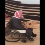 بالفيديو عامل مطعم كل يوم بعد منتصف الليلي طعم القطط