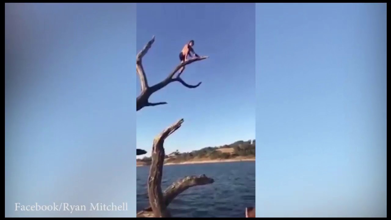 بالفيديو طريف: شجرة وثلاث ضربات في قفزة مؤلمة إلى الماء