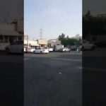 بالفيديو: إنقاذ قطة علقت أعلى عمود كهربائي