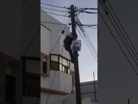 بالفيديو: إنقاذ قطة علقت أعلى عمود كهربائي