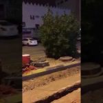 بالفيديو … وسط صرخات ابنه.. مواطن يقتل ثعبان تعلق بسقف خيمته؟
