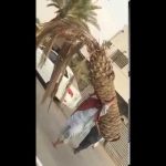 بالفيديو: شاب في مهرجان الجنادرية يقذف رشاش في الجو فيسقط فوق رأس امرأة