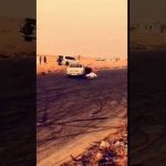 بالفيديو.. مواطن يوثق وجود “أسد” أمام الجامعة