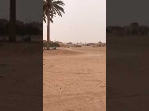 بالفيديو … شاب سعودي يقوم بعملية قفز مدهشة بين نخلتين