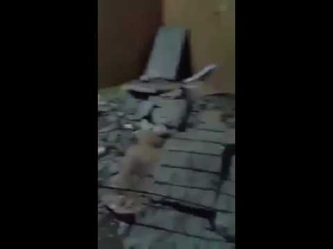 بالفيديو … صلاة الفجر تنقذ شخص سقط سقف منزله