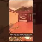 بالفيديو … وسط صراخ السيدات والأطفال.. لحظة هلع ركاب طائرة سعودية تعرضت لمطبات هوائية
