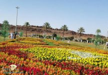 أمانة منطقة حائل تدشن 46 حديقة داخل الأحياء لتعزيز أنسنة المدينة