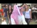 مبتعثين في عرس أمريكي#( بالفيديو:) شباب سعوديين