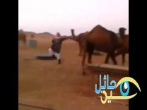 صاحبهن في دبكة ( بعارينيه ) ابتكرها وأدّاها معها!