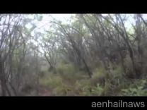 فيديو: نمر يفاجئ شاب سعودي وأصدقاءه في غابة أفريقية