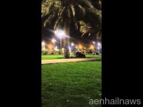 مقطع فيديو: امرأة تؤم رجلاً في حديقة
