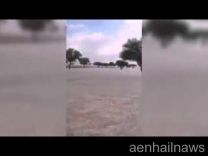 بالفيديو.. مشاهد مذهلة لتساقط ثلوج شمال السعودية بحجم “كرات الجولف”