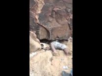 بالفيديو: مجموعة شباب يصطادون ذئاباً داخل مغارة غرب حائل