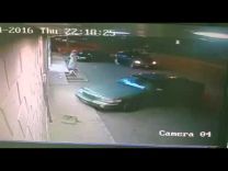 بالفيديو : تهور سائق يتسبب بحادث انقلاب سيارة