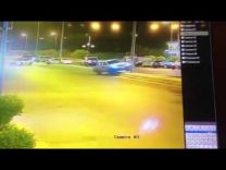 بالفيديو …  اصطدام سيارة بنخلة وإيقاعها