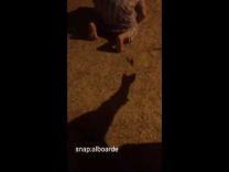 بالفيديو: رد فعل شاب رمي عليه صديقه ثعبان أثناء الصلاة