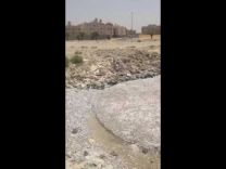 بالفيديو …نفوق أسماك على شاطئ كورنيش الدمام